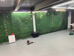 vine cellar - Image 1