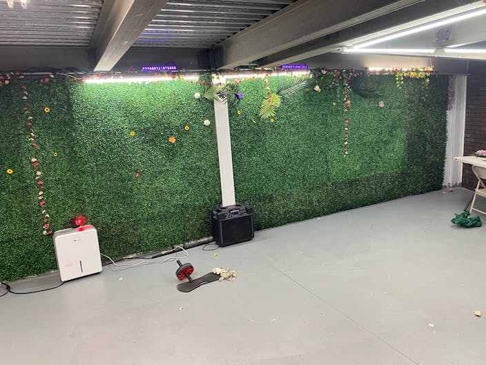 vine cellar - Image 1