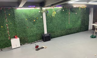 vine cellar - Image 1