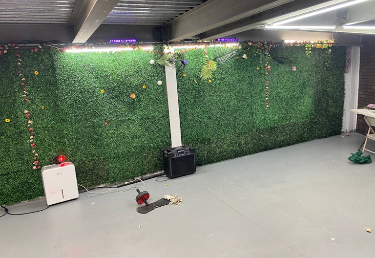 vine cellar - Image 1