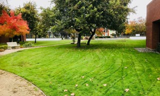 Spacious , quiet and clean room 124 at University of San Jose - Image 10