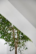 Amazing 300m2 for Showrooms and Events - Image 10