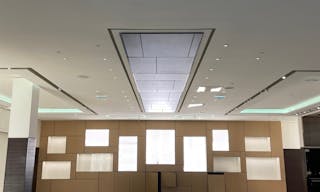 Prime Location Boutique - Paris 6th - Image 4