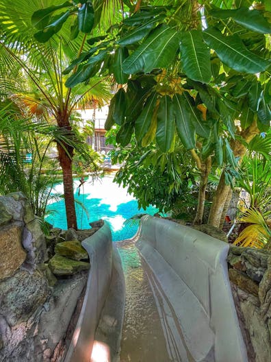 Oasis Shooting and Videos Productions Venue in Davie, FL - Image 2