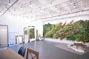 DTLA - Ivy Wall Studio with Mirrors - Image 8