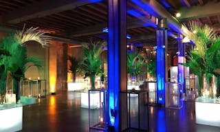 Propellers Showroom - Image 3