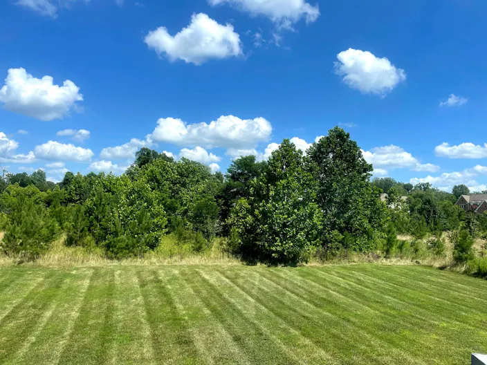 DMV?s Spacious Wooded Estate S - Image 3