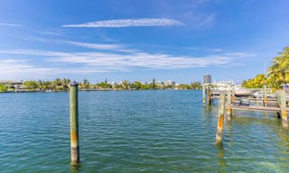 MIAMI BEACH HOUSE SUNSHINE - Image 9