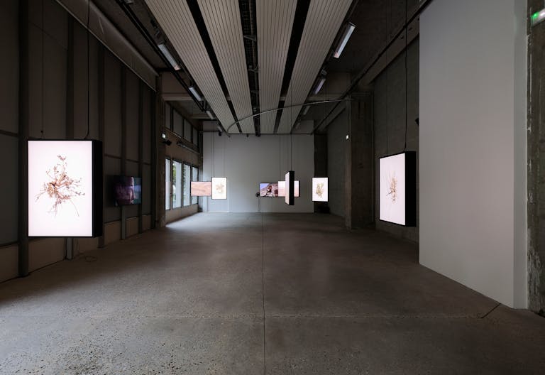 Privatisez Bétonsalon ! Un centre d'art dans le quartier Bibliothèque François Mitterrand, à Paris - Image 2