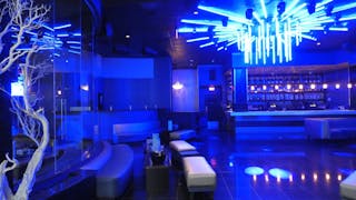 High Profile Upscale Lounge/Nightclub - Image 5