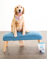 Large Naturally 24-hour Lit Multi-purpose Event Space - Image 9