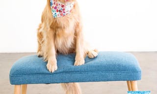 Large Naturally 24-hour Lit Multi-purpose Event Space - Image 9