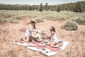 Holcomb Valley Ranch, Southern California Mountains - Image 2