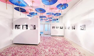 Stunning Gallery Space in Tribeca - Image 6