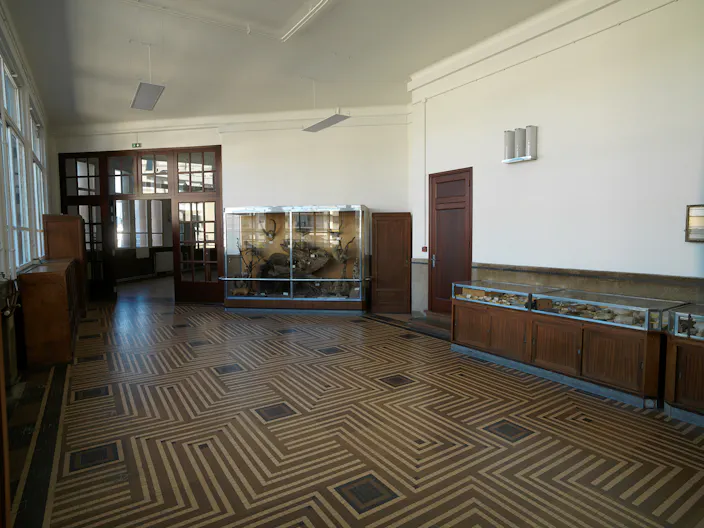 Bâtiment Institutionnel - Image 2