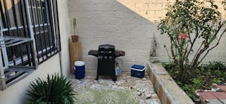 HIDDEN GEM! PROMO RATE Plant-Filled, Spacious, Bright Outdoor Event Space with Tons of Natural Light, Conveniently Located - Image 3