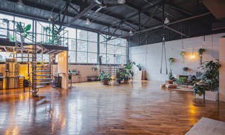 Sunny Plant Filled Dumbo Restored Warehouse // Perfect for Photo shoots/Dinner Parties/Events - Image 0