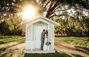 Stunning Flower Fields with Florida Wildflowers - Image 7