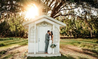 Stunning Flower Fields with Florida Wildflowers - Image 7