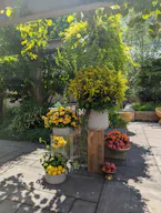 An Unexpected Event Venue and Botanic Garden in Brooklyn, NY - Image 9