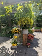 An Unexpected Event Venue and Botanic Garden in Brooklyn, NY - Image 9