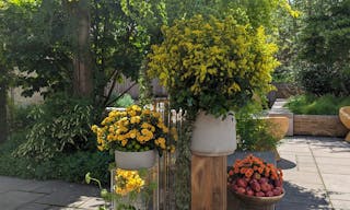 An Unexpected Event Venue and Botanic Garden in Brooklyn, NY - Image 9