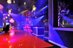 High Profile Upscale Lounge/Nightclub - Image 2