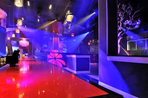 High Profile Upscale Lounge/Nightclub - Image 2