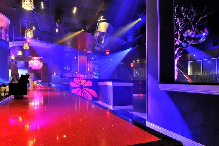 High Profile Upscale Lounge/Nightclub - Image 2