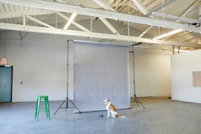 Huge Minimalist Warehouse Loft - Image 5