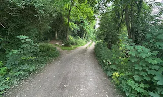 Décor/Lieu de tournage: Forêt Privée - Image 7