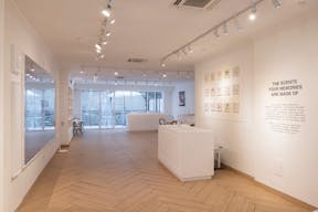 The Perfect Canvas: Elegant, Sun-Filled Space in North Williamsburg - Image 6