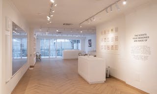 The Perfect Canvas: Elegant, Sun-Filled Space in North Williamsburg - Image 6