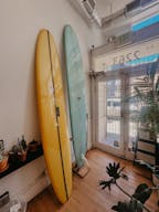 Plant-filled Community Space in the Marina District - Image 5