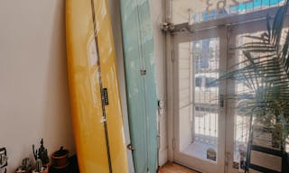 Plant-filled Community Space in the Marina District - Image 5