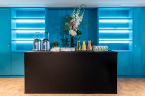 Magnificent Mansion to Rent - Paris 8th - Concorde/Saint-Honor�/Madeleine Area - Image 8