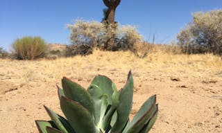 Desert Land Space - Image 26