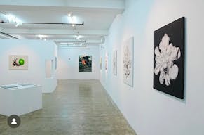 Prime Lower East Side Retail - Image 8