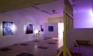 Flex. Use Art Gallery & Event Space - Image 29