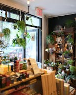 Pop-Up Perfect Space in Williamsburg – Shared with Trendy Bonsai Shop - Image 5