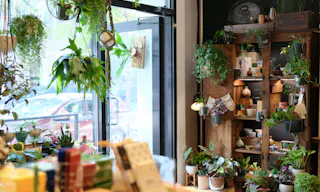 Pop-Up Perfect Space in Williamsburg – Shared with Trendy Bonsai Shop - Image 5