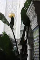 Authentic Moroccan-Decor Bohemian Restaurant And Club - Image 18