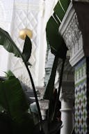 Authentic Moroccan-Decor Bohemian Restaurant And Club - Image 18