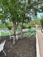 Swoop House in East Austin - Image 4