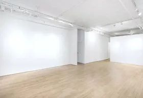 Unique Ground Floor Loft in Manhattan - Image 2