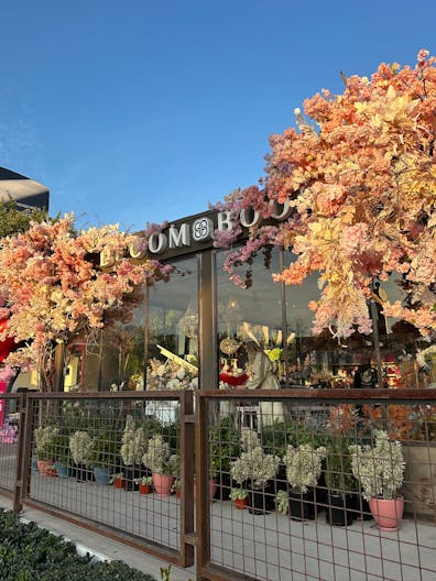 Chic Showroom and Event Space for Rent - Image 0