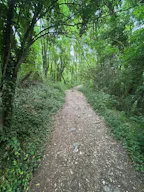 Décor/Lieu de tournage: Forêt Privée - Image 5