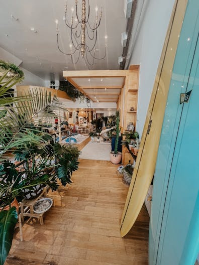 Plant-filled Community Space in the Marina District - Image 3