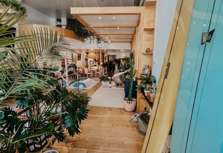 Plant-filled Community Space in the Marina District - Image 3