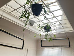 Splendid showroom rue Saint Honoré - Place Vendôme, in the heart of Paris fashion & culture district. - Image 18